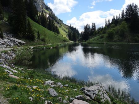 Le long des berges du lac...