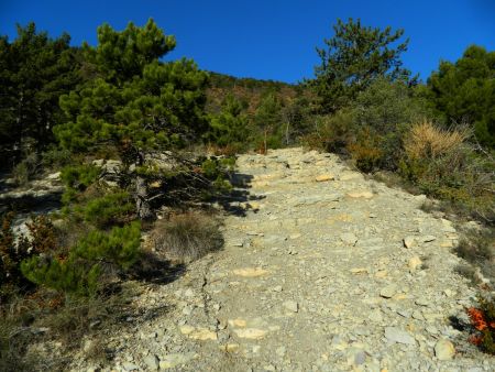 Escalier naturel.