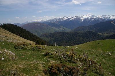 Les Pelouses de Terres Neres