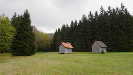 Prairie avec des cabanes à foin, entre Hohmiβwiese et Beckenfelsen.