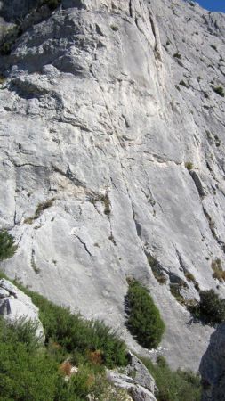 face à la mer L1 (bas)