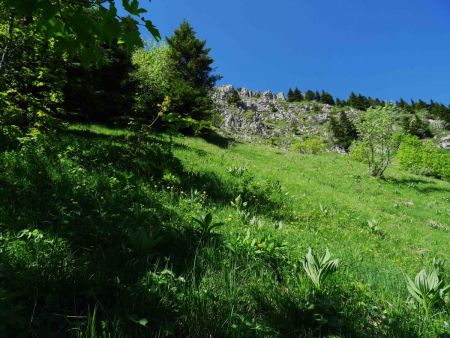 La première pente d’herbes est déjà bien raide... C’est une mauvaise surprise.