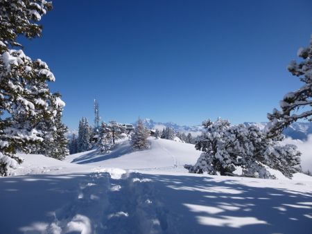 Dans le rétro le Mont Blanc