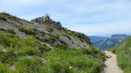 Sur le sentier