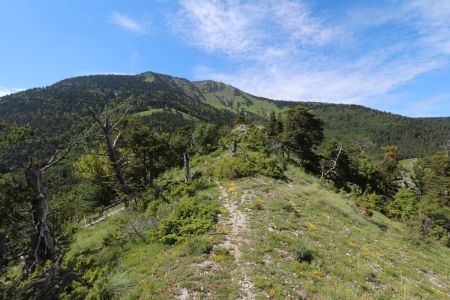 Dans le rétro avec la Montagne Durbonas.