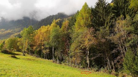 Départ du sentier forestier, en amont du chemin. Pas évident à trouver !