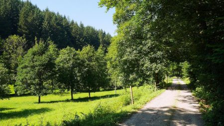 En montée sur l’Oostalweg (östlich).