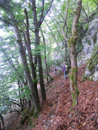 La vire est tantôt dégagée, tantôt dans les sous-bois