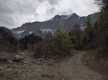 Variante de l’alpage de Mougious : en descendant par la piste d’alpage, au niveau du lacet avec la Rama.