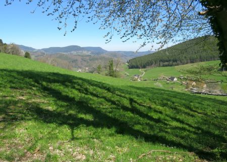 Point de vue près de la Ferme du Beauregard. Au fond à gauche, on voit le Col de Fréland et le Kalblin. Au fond à droite, c’est la masse boisée du Grand Faudé.