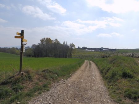 Aux Grandes Terres, on prend la direction du Pré Baron.