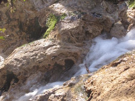 ruisseau des meunières