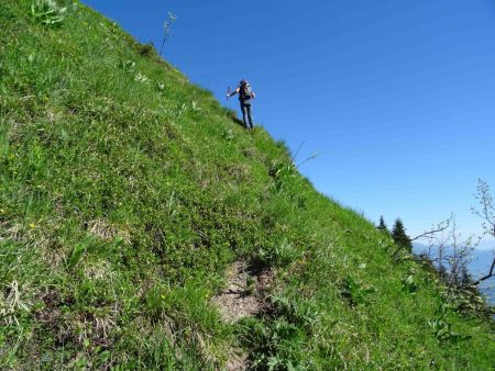 Un peu plus haut, dans l’herbe, chacun va suivant son inspiration.