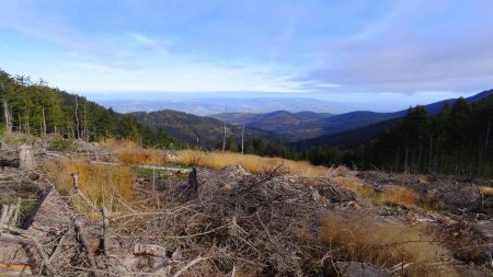 Vers les mont du Lyonnais.