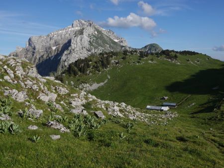 On s’élève au dessus de l’alpage...