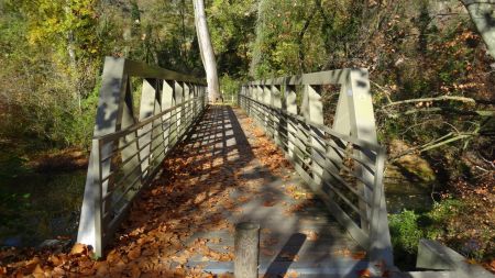 Passerelle sur la Lône.