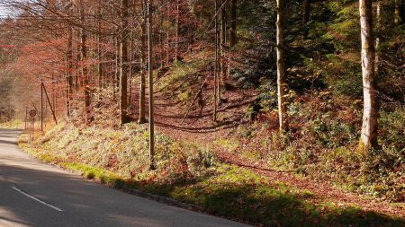 La montée reprend sur ce sentier au bord de la route.