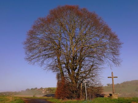 Le brouillard tente «d’avaler» la Croix Bicoury