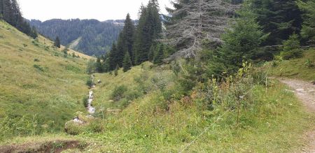 Cascade des Munes - 1 384 m