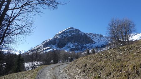 Sur la piste vers Pralautray, le Cochet