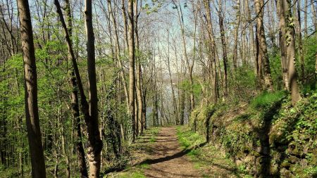 Sentier du Tour du lac.