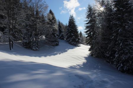 Paysage d’hiver