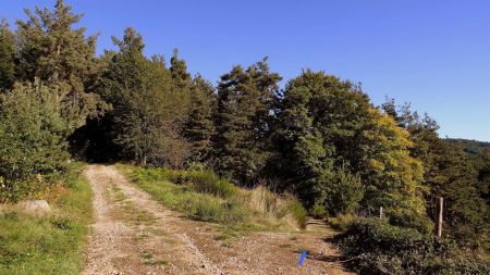 Avant la forêt, prendre à droite.