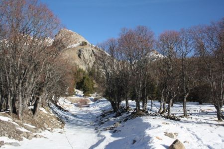 Torrent gelé du ravin de Méouille