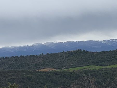 Montagne de Lure