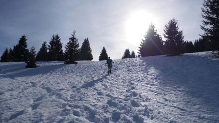 Retour vers le chalet du Mélèze