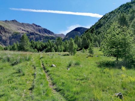 De la verdure à foison lors du départ des Hières !