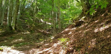 Le sentier de montée