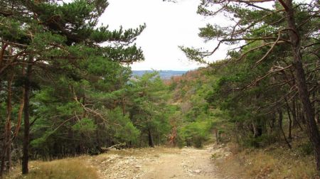 Chemin de descente