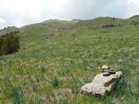 Cairn caractéristique, il faudra aller direction le ravin