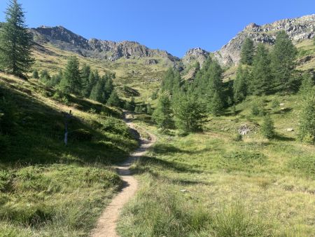  Vallon vers le Lac des Cordes.