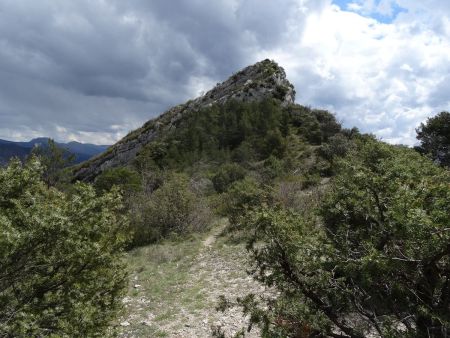 On a récupéré le sentier balisé ! (Au fond, le début des Crêtes de la Montagne des Plates, sur lesquelles on peut monter).