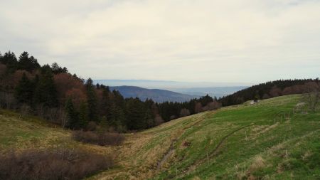 Vallée du Gier.