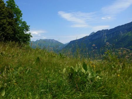 Vue sur les Bauges