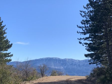 La Montagne de Lure.