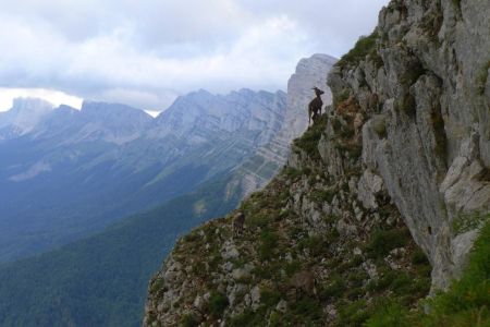 Sur la falaise, ça crapahute