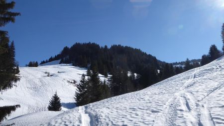 Arrivée dans la trouée