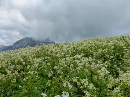 Arrivée au sommet