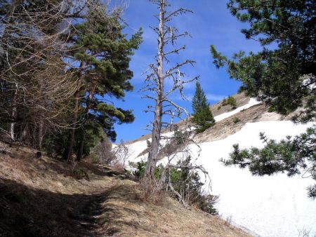 Dans le vallon sud du Col Vente-Cul