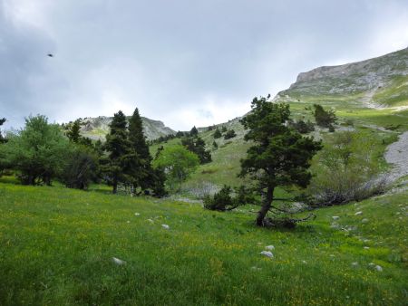 Suite de la montée hors sentier.