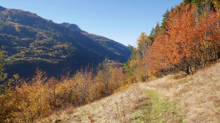 Sortie de forêt, vue arrière.