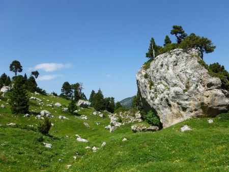 Le champ de rochers