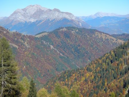 Col d’Orgeval photo romain