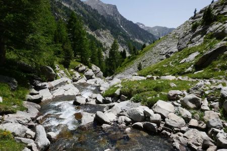 Fraicheur assurée !