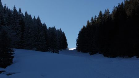 A l’approche du Col de l’Aliénard