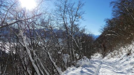 Sur la piste